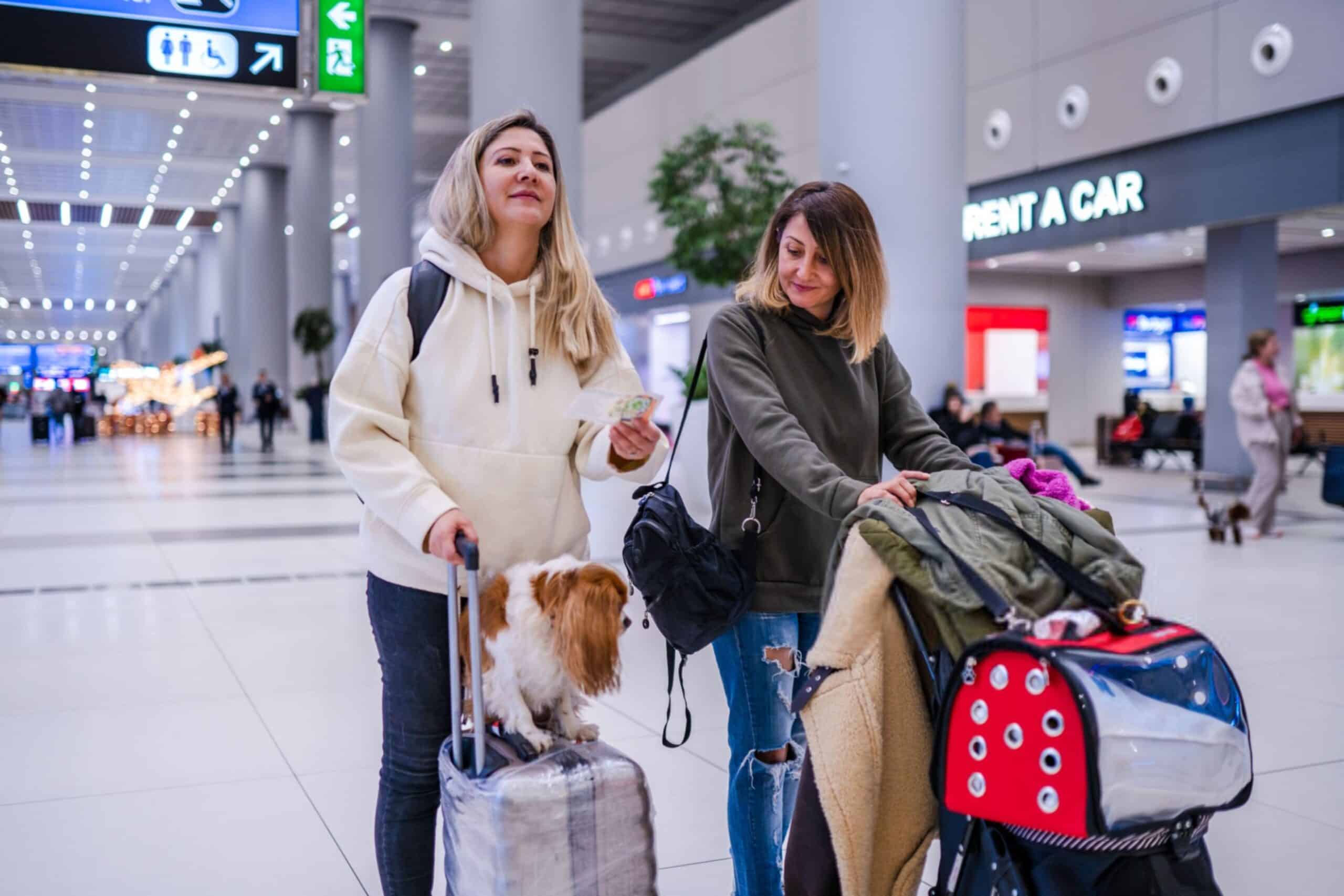 Women traveling with their dog at the airport scaled